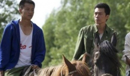 知青电视剧大全,知青电视剧大全中的青春记忆