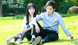 微微一笑很倾城电视剧演员表,青春偶像齐聚演绎甜蜜爱情