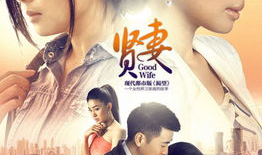 贤妻电视剧,揭秘现代婚姻中的智慧与挑战