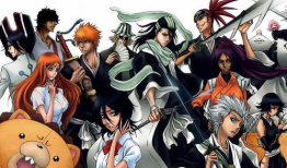 对魔忍漫画,暗影中的剑客传奇