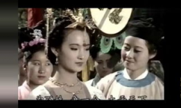 何家劲最早的电视剧,何家劲早期电视剧生涯回顾