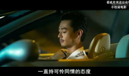 鸭王电视剧,传奇鸭王家族的兴衰传奇