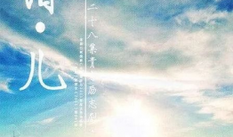 错儿电视剧演员表,实力派演员阵容，演绎错综复杂的情感纠葛