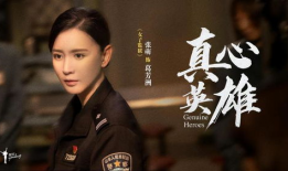 真心英雄电视剧,致敬平凡中的伟大身影