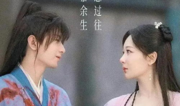 杨紫电视剧大全,青春演绎，情感交织