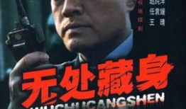 电视剧无处藏身,揭秘都市生存法则与人性较量