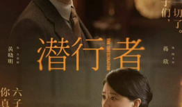 潜行者电视剧演员表,揭秘幕后英雄的惊心动魄