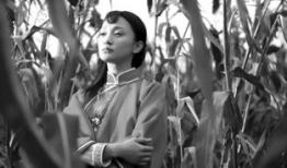 周迅 电视剧,电视剧中的情感传奇