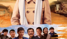 初婚电视剧,爱情与现实的交织