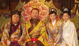 狸猫换太子电视剧,宫廷秘闻与权谋较量