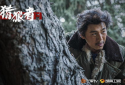 动物电视剧,揭秘野生动物的生存智慧与情感世界