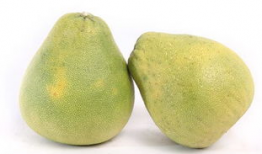 台湾麻豆文旦,甘甜多汁，品味台湾的柑橘传奇