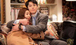 姐弟恋电视剧,姐弟情缘电视剧深度解析